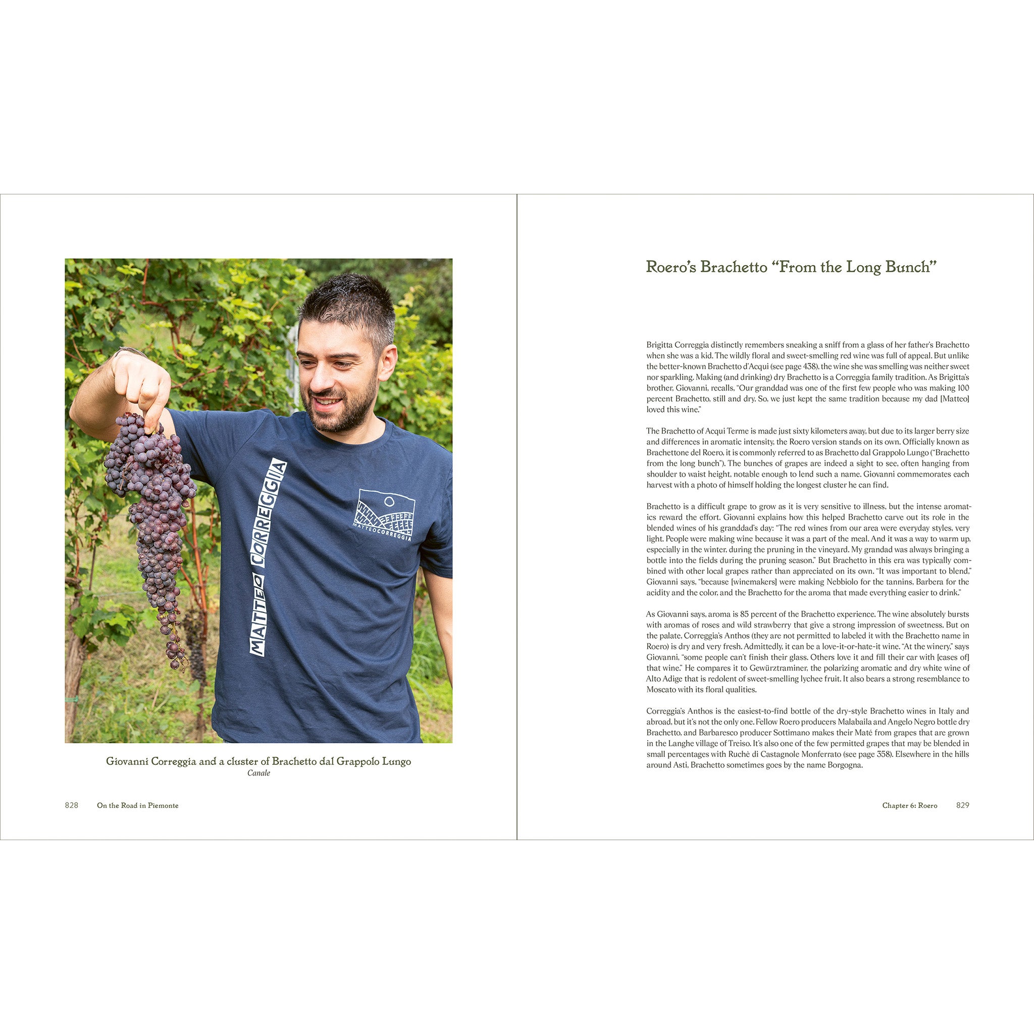 On the Road in Piemonte with Winemakers, Farmers & Chefs - U.S. PRE-ORDER (SHIPPING MID-JULY)